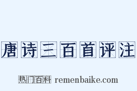 唐诗三百首评注是什么意思的图片